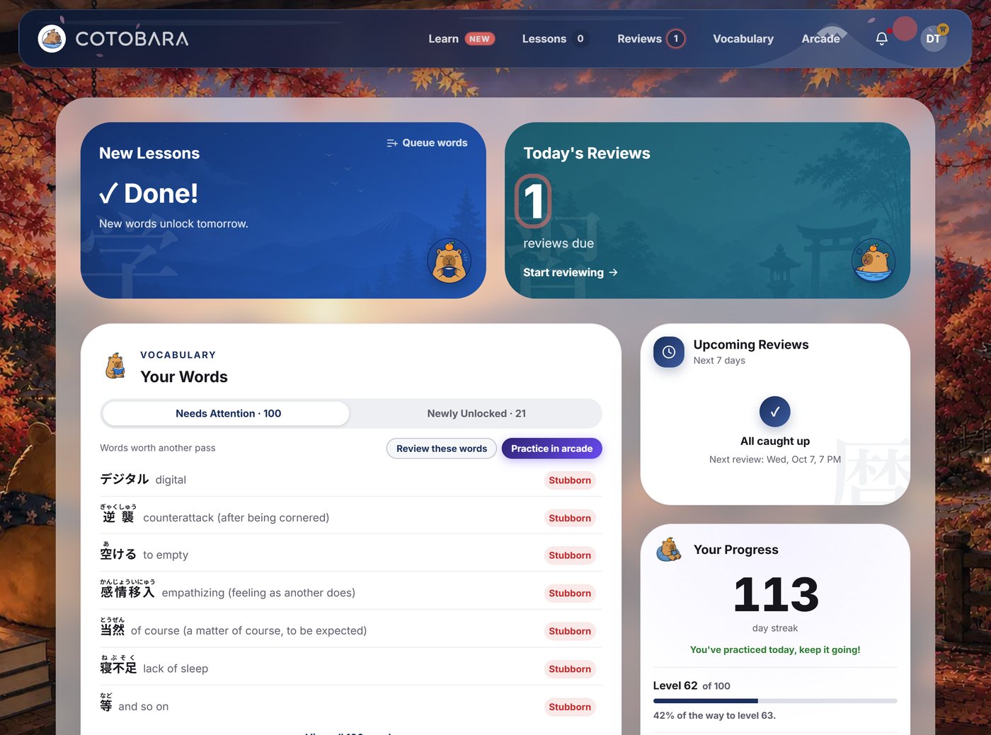 The Cotobara dashboard: new lessons and reviews due, a Your Words list of stubborn words, upcoming reviews, streak and level