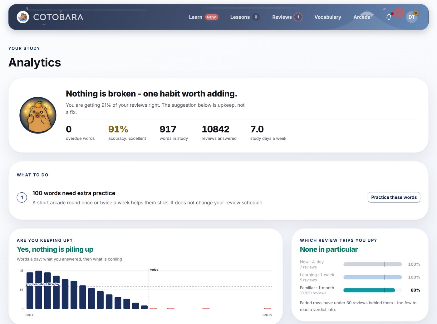 A Cotobara analytics report: accuracy and words in study, one ranked recommendation, and panels for keeping up and for which review trips you up